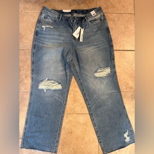 Judy blue 16w Women's Straight Leg Jeans - Light Blue